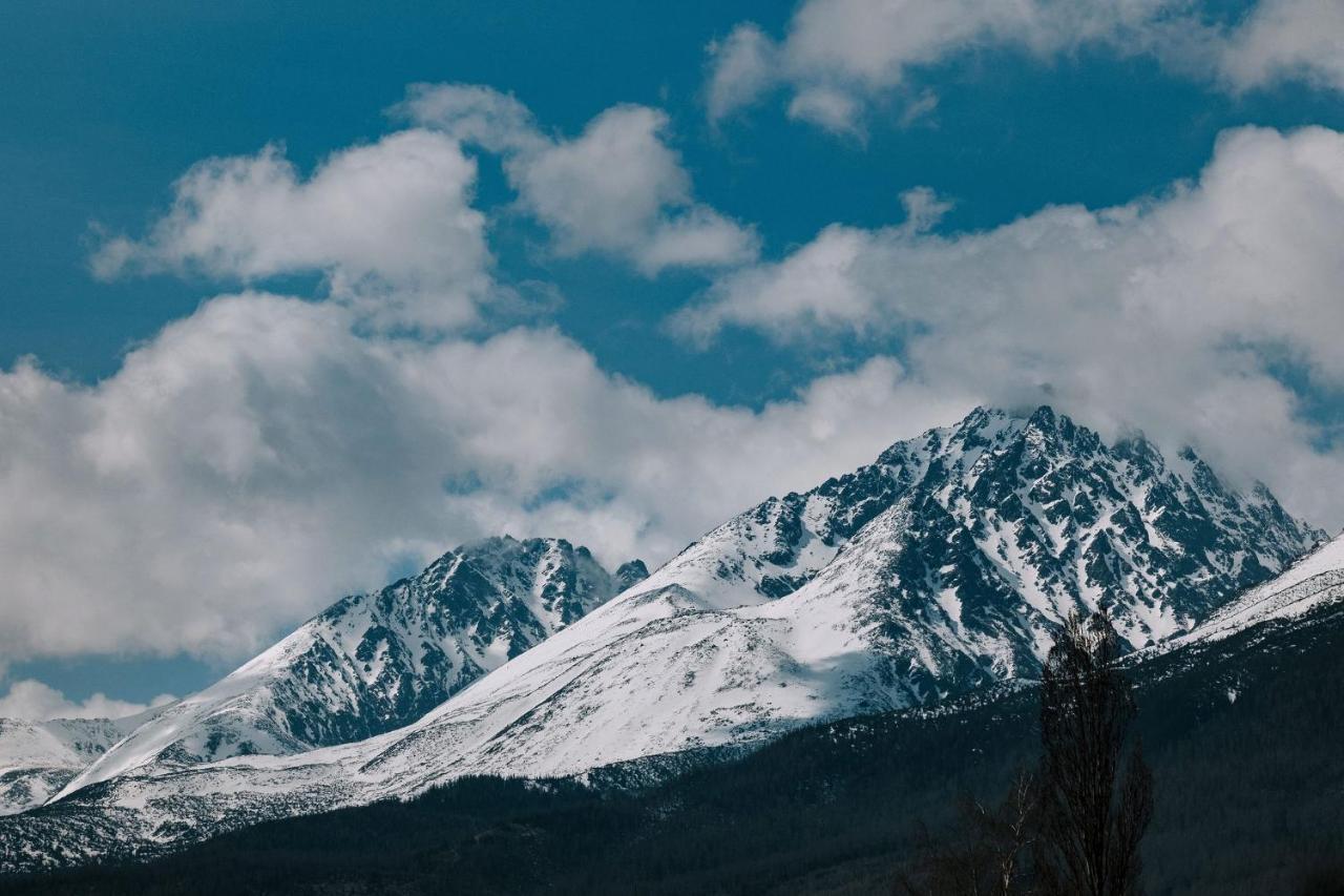 Villa Greystone Vysoké Tatry 外观 照片